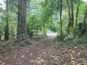 Aldersgate Hiking Trail
